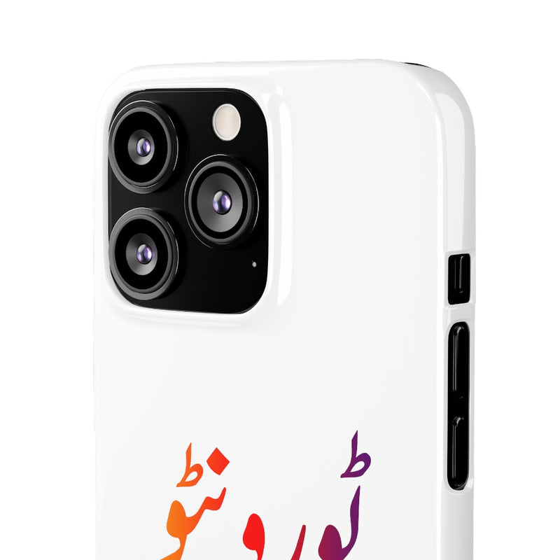Toronto Snap Cases iPhone or Samsung - iPhone 13 Pro / Glossy - Phone Case by GTA Desi Store