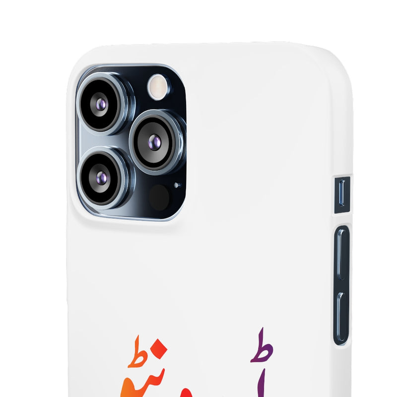 Toronto Snap Cases iPhone or Samsung - iPhone 13 Pro Max / Matte - Phone Case by GTA Desi Store