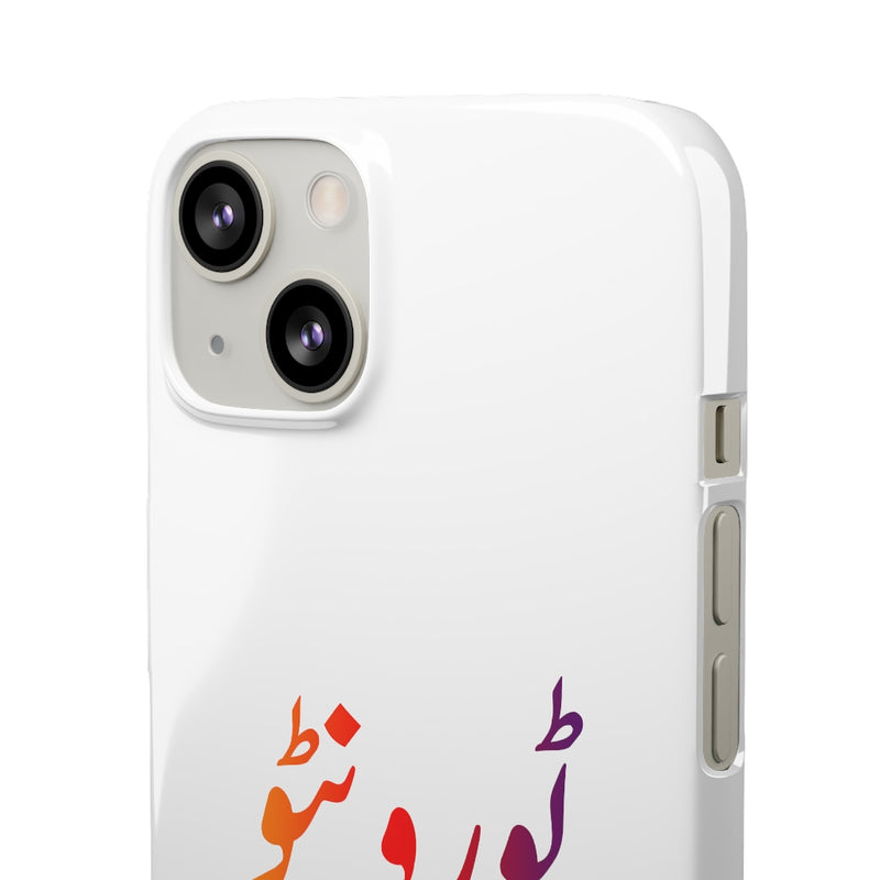 Toronto Snap Cases iPhone or Samsung - iPhone 13 / Glossy - Phone Case by GTA Desi Store