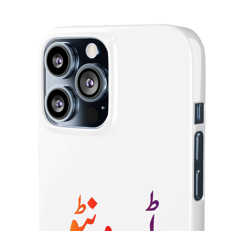 Toronto Snap Cases iPhone or Samsung - iPhone 13 Pro Max / Glossy - Phone Case by GTA Desi Store