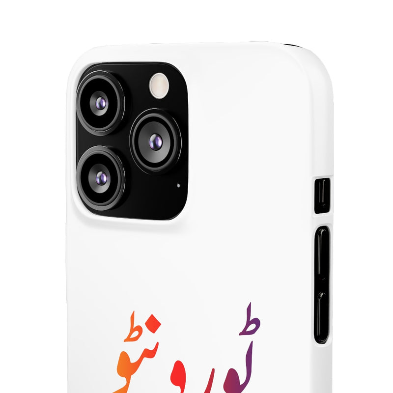 Toronto Snap Cases iPhone or Samsung - iPhone 13 Pro / Matte - Phone Case by GTA Desi Store