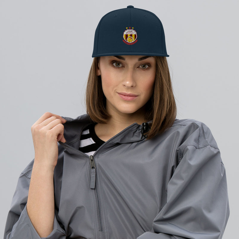 Team Biryani Embroidered Snapback Hat - by GTA Desi Store