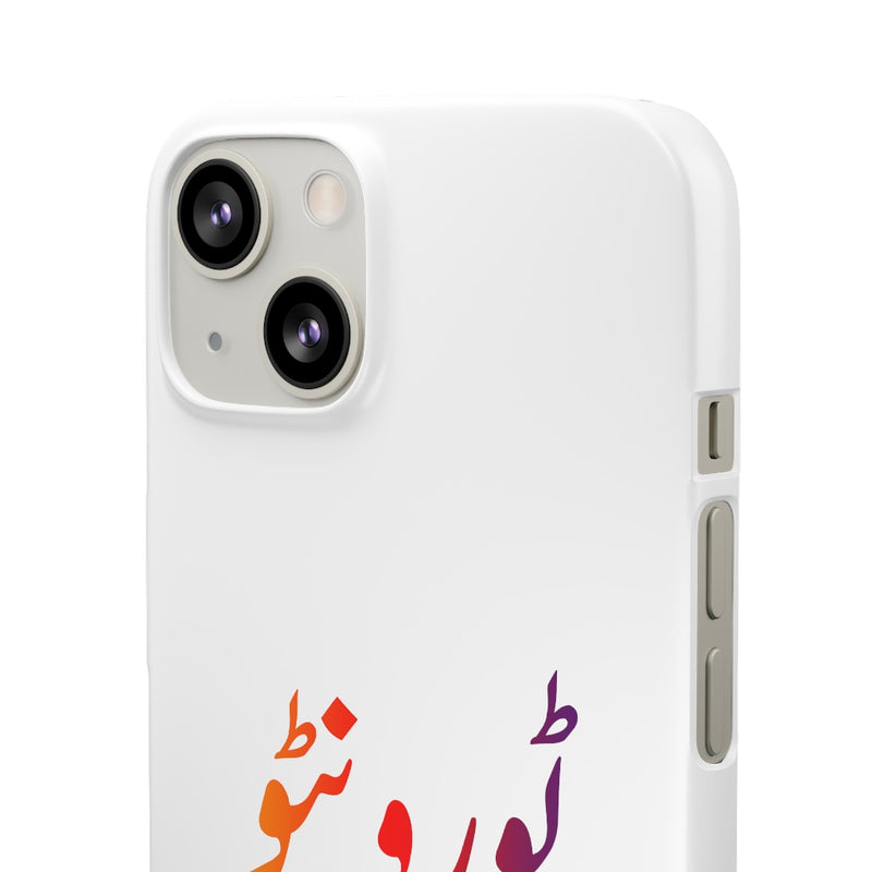 Toronto Snap Cases iPhone or Samsung - iPhone 13 / Matte - Phone Case by GTA Desi Store